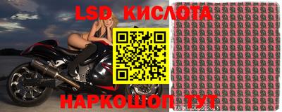 ПСИЛОЦИБИНОВЫЕ ГРИБЫ Лесной