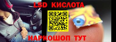 ПСИЛОЦИБИНОВЫЕ ГРИБЫ Лесной