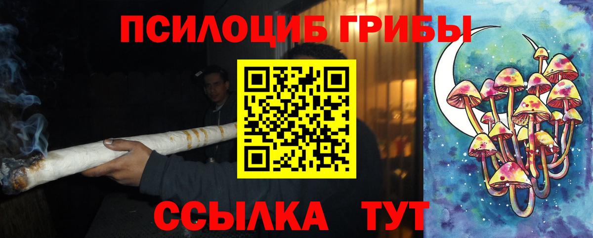 Галлюциногенные грибы MAGIC MUSHROOMS  Галлюциногенные грибы MAGIC MUSHROOMS  Вход с VPN  купить закладку  Вязники 