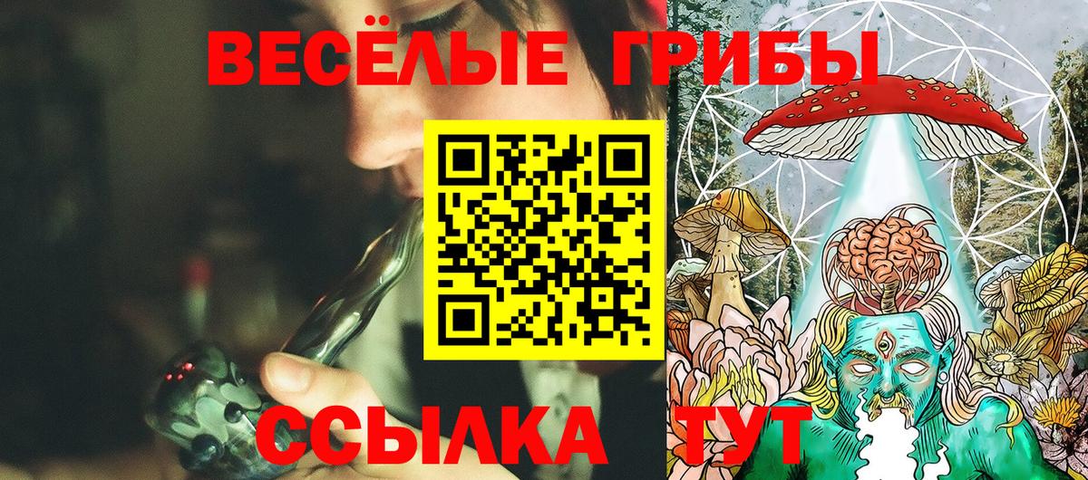 Псилоцибиновые грибы MAGIC MUSHROOMS Вязники